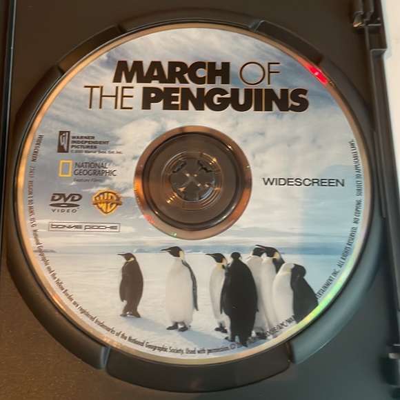March of the Penguins DVD - Picture 2 of 3